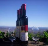 Mount Tamborine Winery  Homestead - Holiday Jervis Bay