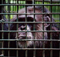 Rockhampton Zoo - Holiday Jervis Bay