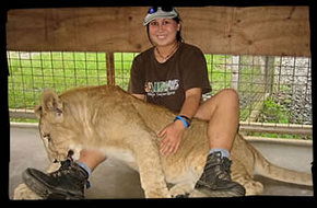 Cairns Wildlife Safari Reserve - Holiday Jervis Bay 1