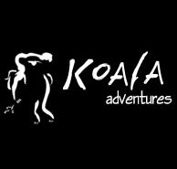 Koala Adventures - Holiday Jervis Bay