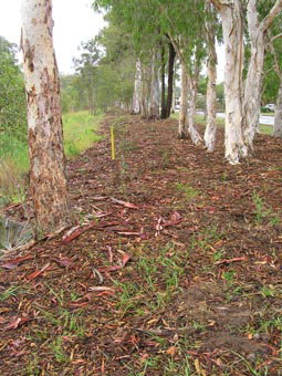 Kumbartcho Sanctuary - Holiday Jervis Bay 1