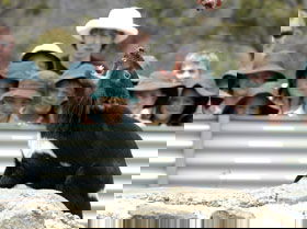 Launceston TAS Holiday Jervis Bay