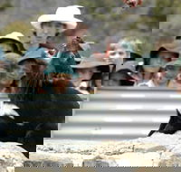 Tasmania Zoo - Holiday Jervis Bay