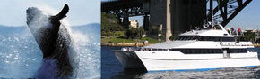 Prestige Harbour Cruises - Holiday Jervis Bay 3