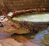 Wyndham Zoological Gardens and Crocodile Park - Holiday Jervis Bay