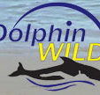 Dolphin Wild - Holiday Jervis Bay