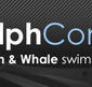 Dolphcom - Dolphin  Whale Swimming Adventures - Holiday Jervis Bay