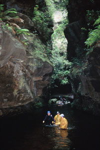 High And Wild Mountain Adventures - Holiday Jervis Bay 1
