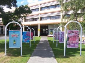 Cadbury Chocolate Factory Tour - Holiday Jervis Bay 2