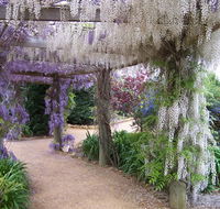 Abingdon Miniature Village - Holiday Jervis Bay