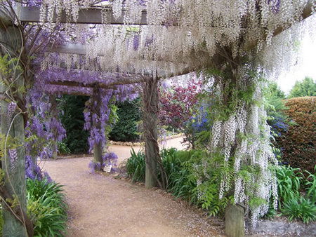 Abingdon Miniature Village - Holiday Jervis Bay 0