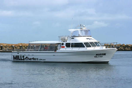 Mills Charters Fishing And Whale Watch Cruises - Holiday Jervis Bay 1