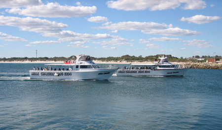 Mills Charters Fishing And Whale Watch Cruises - Holiday Jervis Bay 2