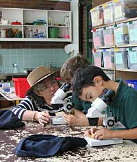 Australian National Botanic Gardens - Holiday Jervis Bay 2