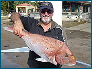 Odyssey Charters - Holiday Jervis Bay 1