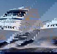 Sunshine Coast Fishing Charters - Holiday Jervis Bay