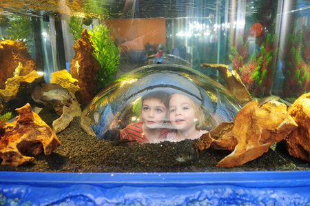 Scitech - Holiday Jervis Bay 3