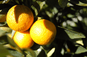 Kinloch Wines - Holiday Jervis Bay 1