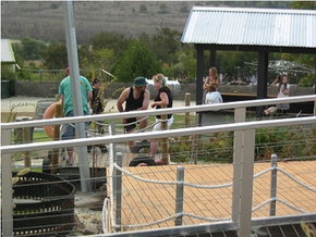 High Country - Holiday Jervis Bay 0