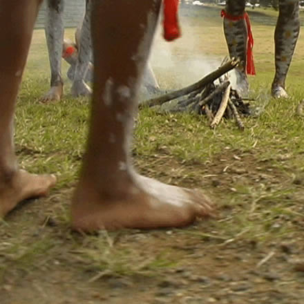 Musgrave Park Cultural Centre - Holiday Jervis Bay 1