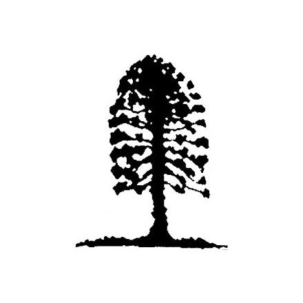 Musgrave Park Cultural Centre - Holiday Jervis Bay 2