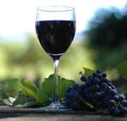 Lion Mill Vineyards - Holiday Jervis Bay