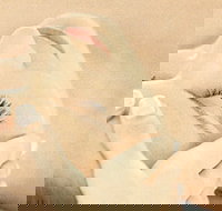 The Golden Door Spa  Health Club at Mirage Resort - Holiday Jervis Bay