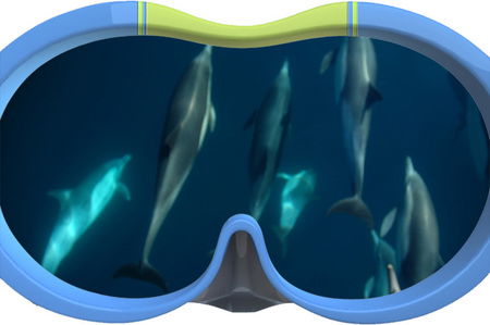 Dolphin Swim Australia - Holiday Jervis Bay 3