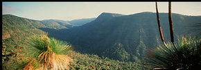 Lamington National Park And OReillys - Holiday Jervis Bay 1