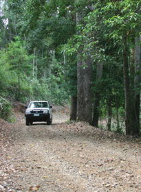 Lamington National Park And OReillys - Holiday Jervis Bay 2