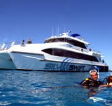 Silver Swift - Holiday Jervis Bay