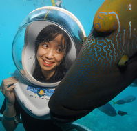 Sunlover Reef Cruises - Holiday Jervis Bay