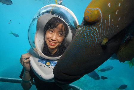 Sunlover Reef Cruises - Holiday Jervis Bay 0