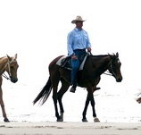 Ride the Beach - Holiday Jervis Bay