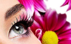 Glow Retreat - Holiday Jervis Bay 5