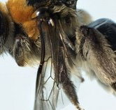 Western Australian Museum - Holiday Jervis Bay