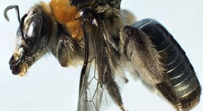 Western Australian Museum - Holiday Jervis Bay 0