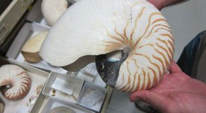 Western Australian Museum - Holiday Jervis Bay 3