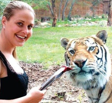 National Zoo & Aquarium - Holiday Jervis Bay 4