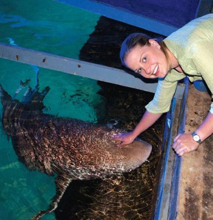 National Zoo & Aquarium - Holiday Jervis Bay 7