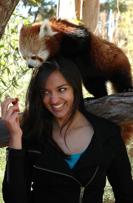 National Zoo & Aquarium - Holiday Jervis Bay 8