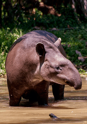 Alma Park Zoo - Holiday Jervis Bay 4