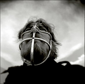 Australian Centre For Photography - Holiday Jervis Bay 3