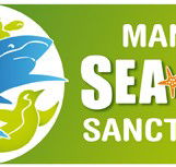 Manly SEA LIFE Sanctuary - Holiday Jervis Bay