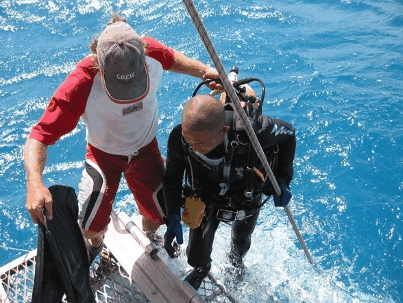 Big Cat Reality - Holiday Jervis Bay 2