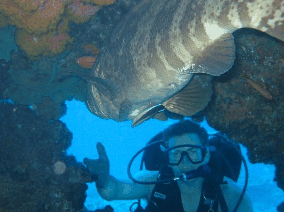 Big Cat Reality - Holiday Jervis Bay 4