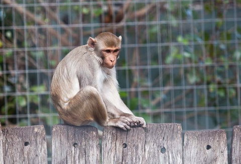 Darling Downs Zoo - Holiday Jervis Bay 5
