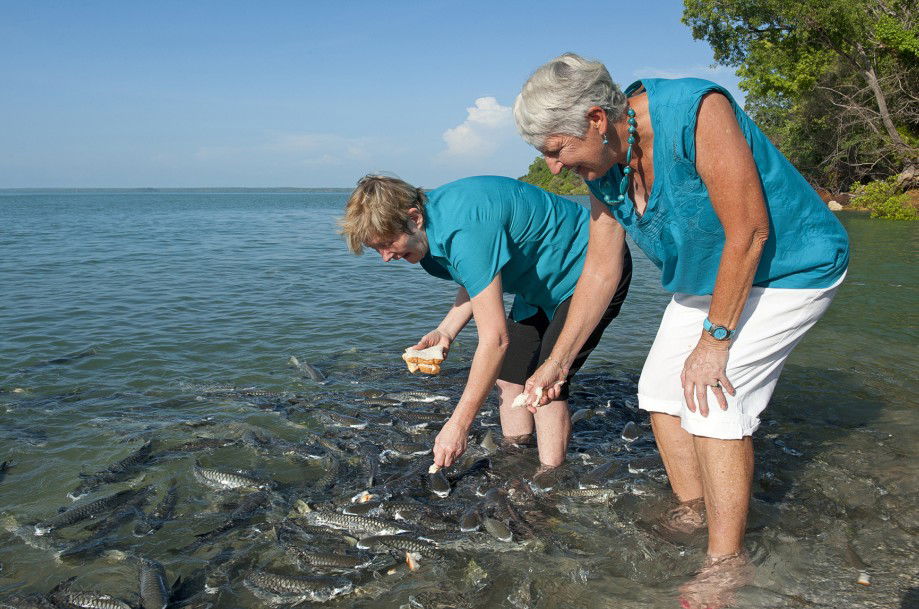 Darwin City NT Holiday Jervis Bay