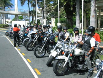 Wildfire Tours - Holiday Jervis Bay 1