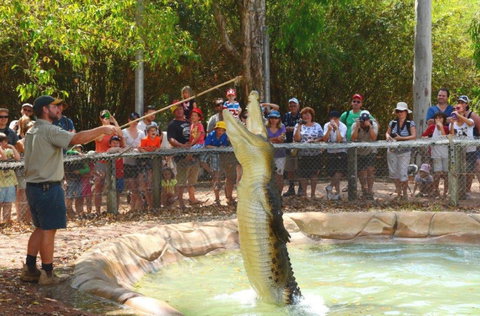 Billabong Sanctuary - Holiday Jervis Bay 2